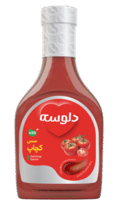 Ketchup Sauce